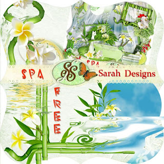 http://2.bp.blogspot.com/_JTei5U8eP9k/Sk_yJvRy0mI/AAAAAAAAANE/B7SqnSKID9c/s320/Sarah+Designs+SPA+FREE.jpg