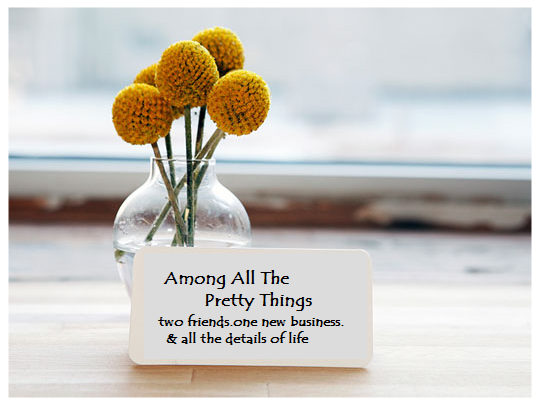 Among All The Pretty Things