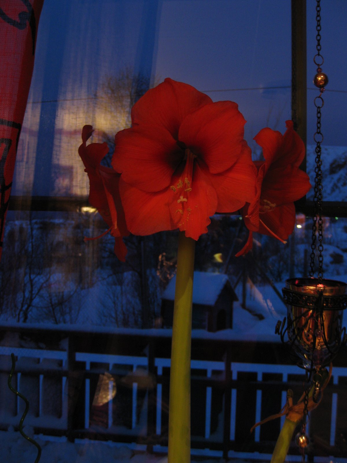[A.Januar+09+009.JPG]