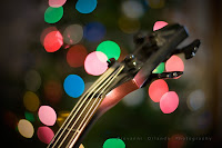 Know about Bokeh Photography and it's pictures
