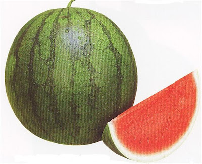 buah semangka