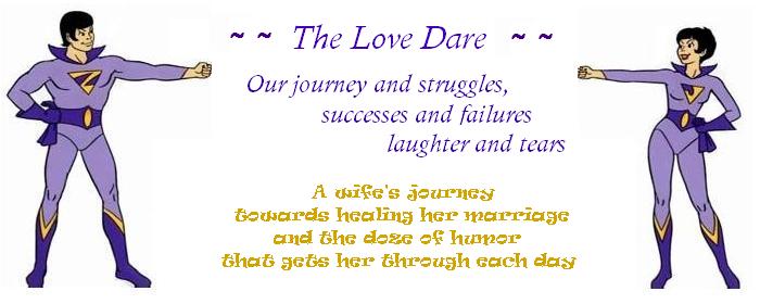 The Love Dare - Our Journey