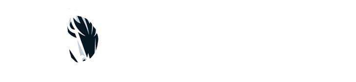 D-Mavs