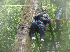 Tarzan Swing, Extremo Canopy Tour, Monteverde, Costa Rica