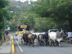 Road Block, San Juan del Sur, Nicaragua