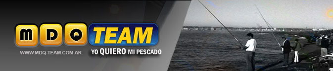 MDQTeam