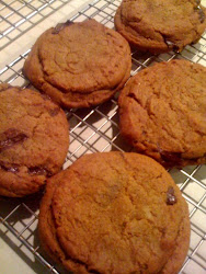 Crispy Pumpkin Chocolate Chip Cookies