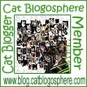 Cat Blogosphere