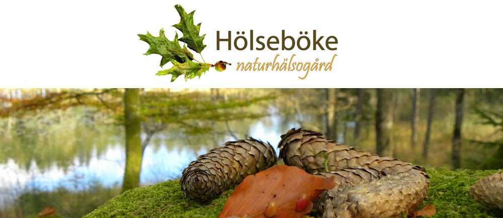 Hölseboke Naturhälsogård