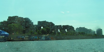 [habitat.JPG]