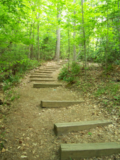 winding green pathway through woods, Raven Rock park North Carolina