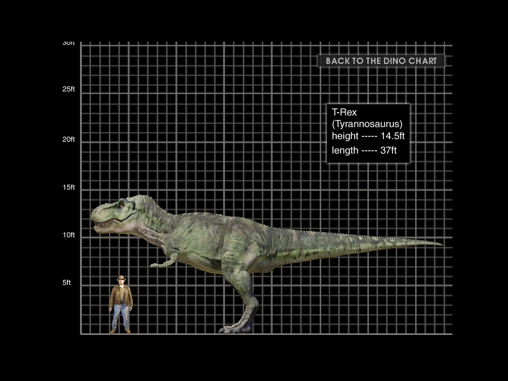 NOVO Indominus Rex Gigantesco Colossal - Dinossauros Jurassic World 2, Tiranossauro  Rex e Mosassauro 