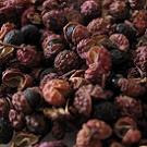 Sichuan pepper