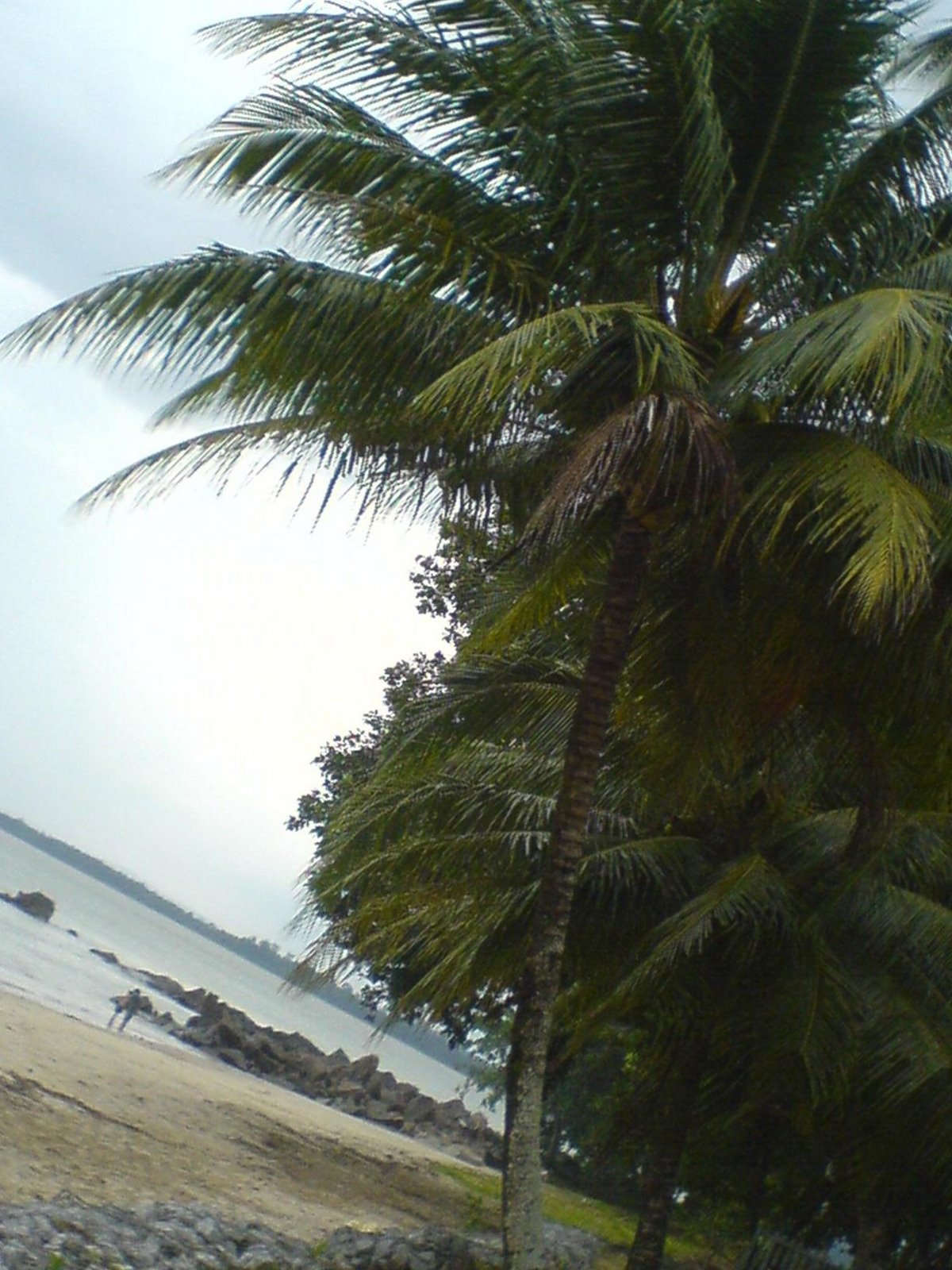 Ocean Resort Lundu