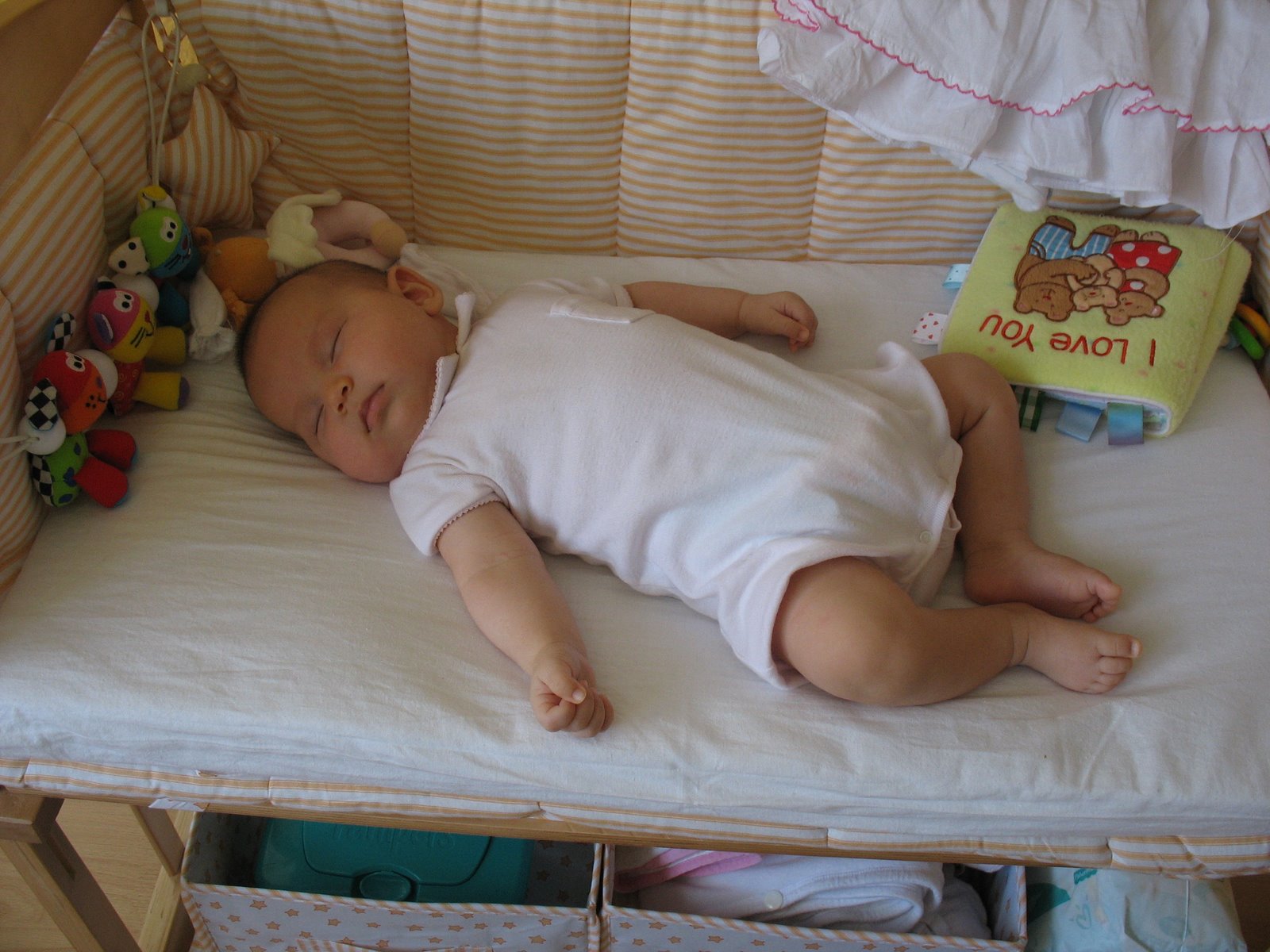 [IMG_3603.JPG]