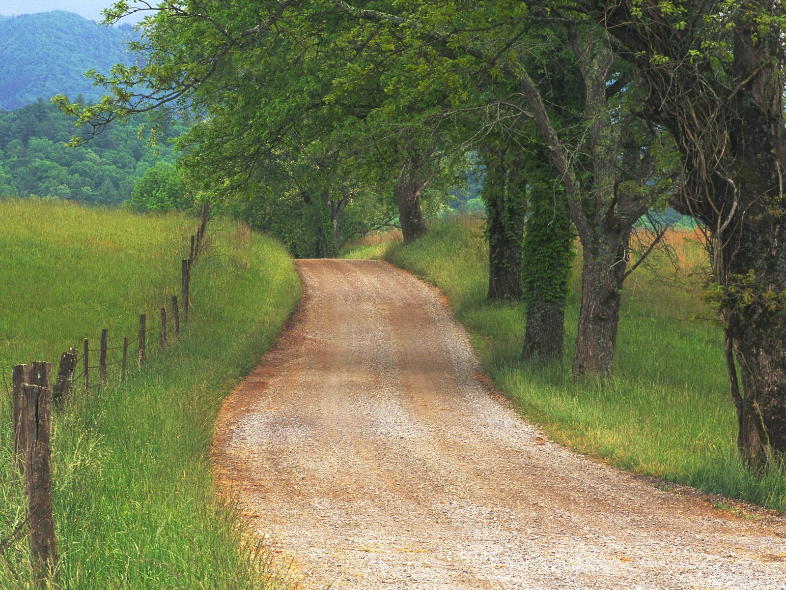 [Country+Road+through+Cades+Cove,+Great+Smoky+Mountains,+Tennessee.jpg]