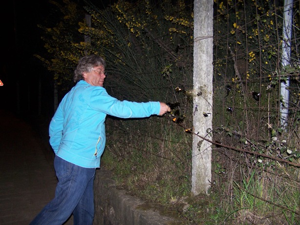 [2008-03-10d.JPG]