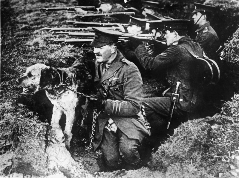 trench warfare world war 1 essays trench warfare world war 1 essays