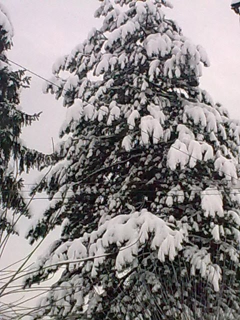 [Image0614.jpg]