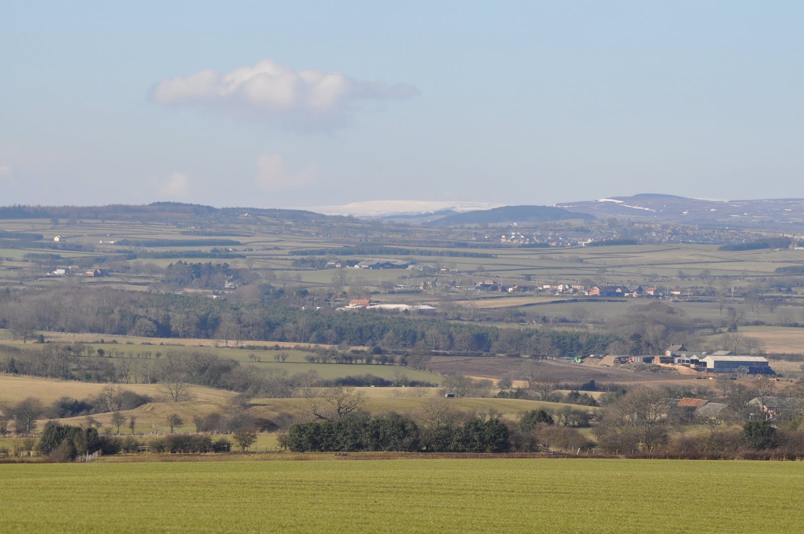 Moss Travel Photography West Auckland and County Durham Countryside