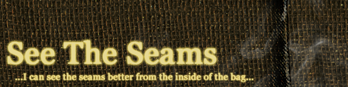 See The Seams