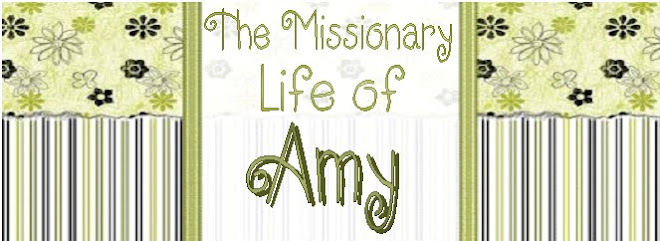 A Missionary Life