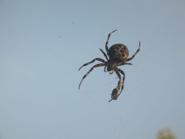 Geschmacksache: September 2010