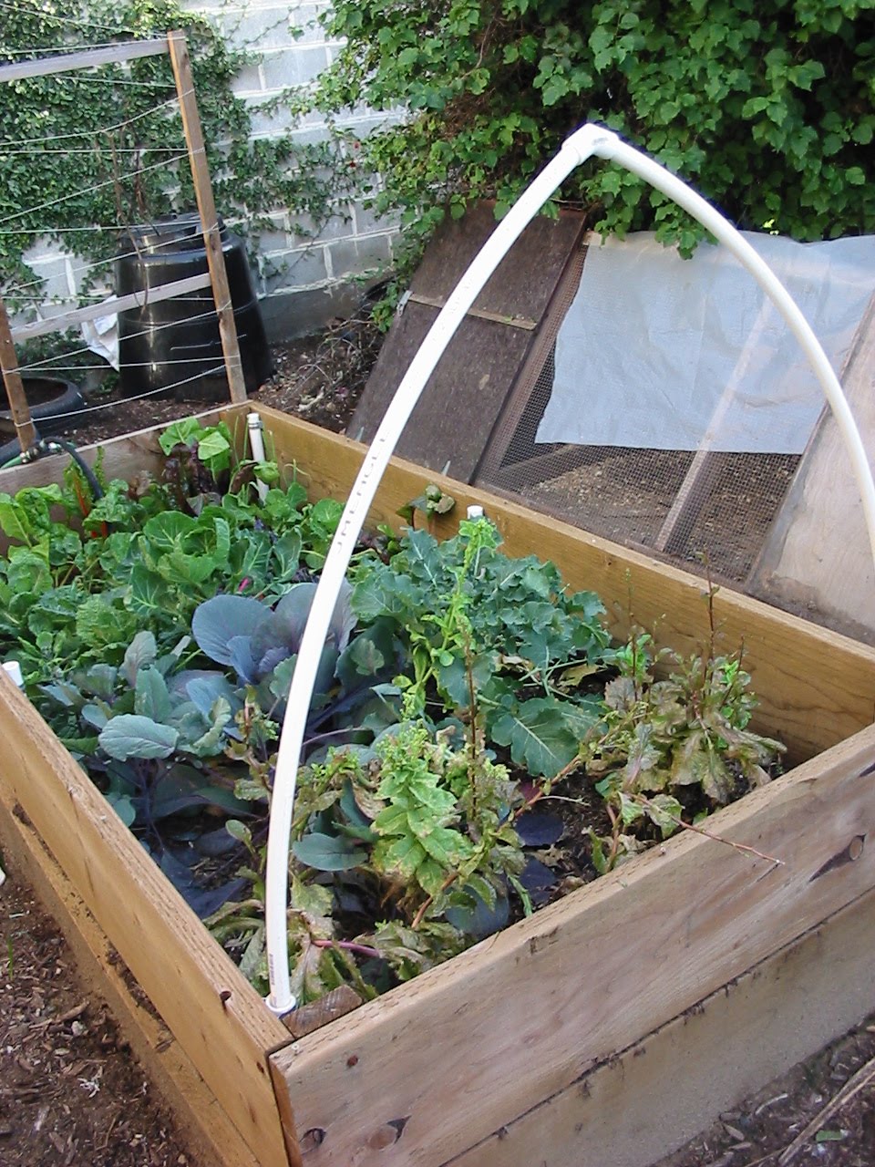 Party Valley Heights Vegetable Bed 3