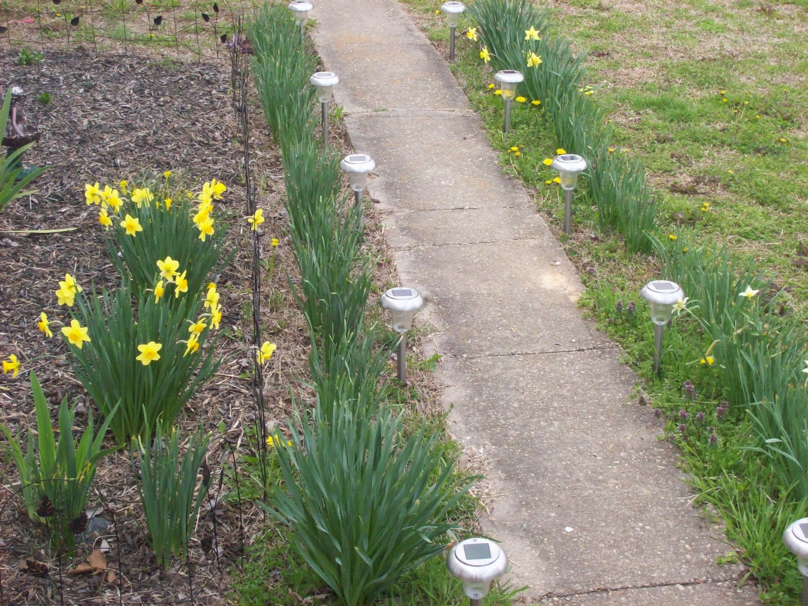 Grow Grow Garden !: Hidden Gardening Benefits