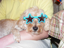 Bailey