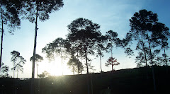 beautiful morning
