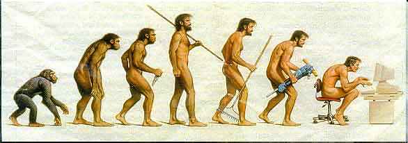 [evolution.jpg]