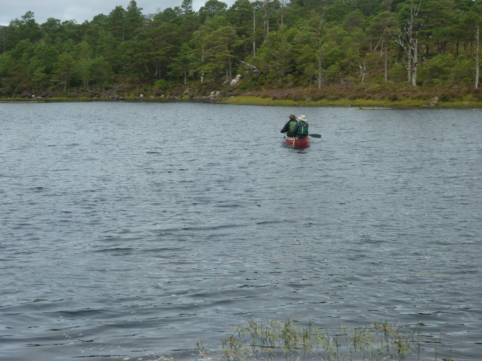 Pike fishing in Scotland. Loch Maree Revisited.
