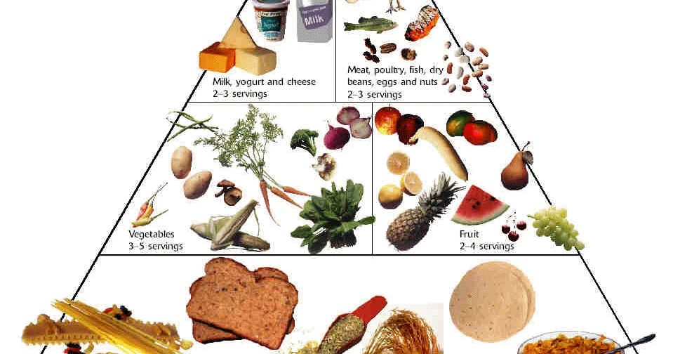 Eat, Love, Adjust: Tales of the misunderstood: The Food Pyramid
