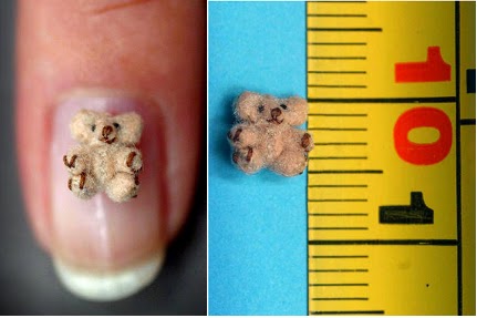 smallest teddy in the world