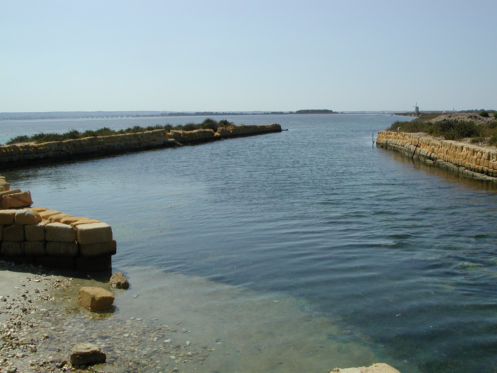 [DSCN9895.JPG]