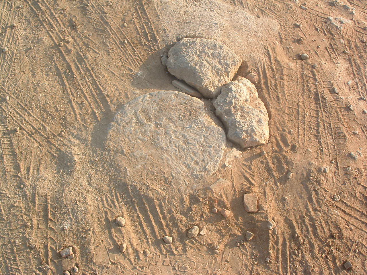 [DSCF0044.JPG]