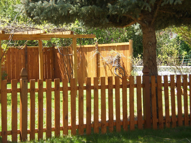 This is our backyard