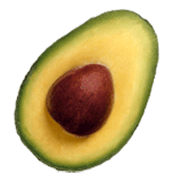 [avocat.gif]