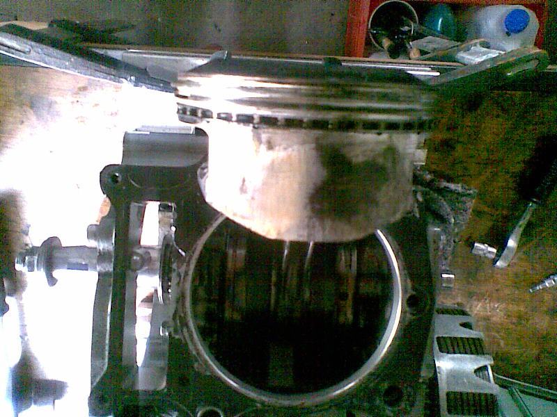 Forum Slooowriders Rock N Roller