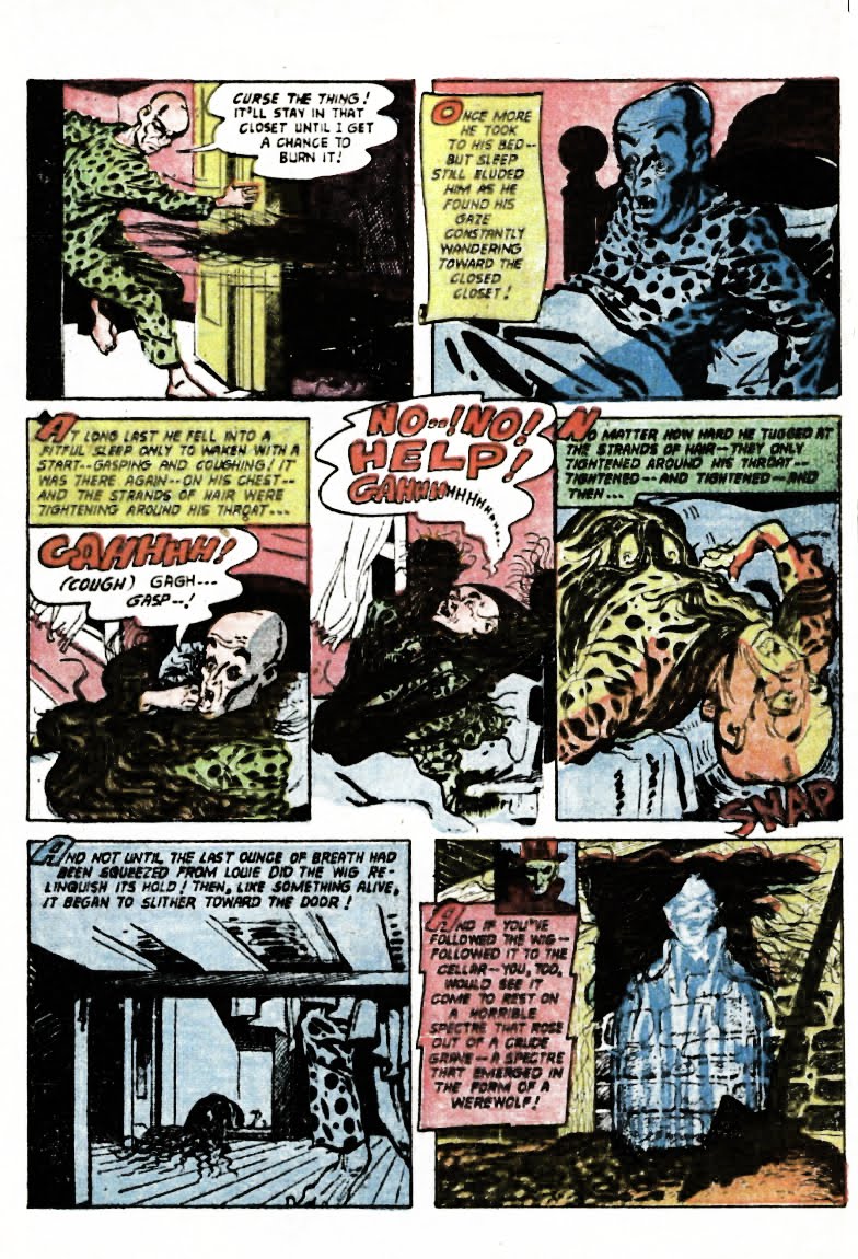 Scary Terry S World January 2011