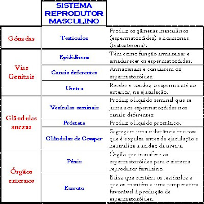 Exame hormonal feminino