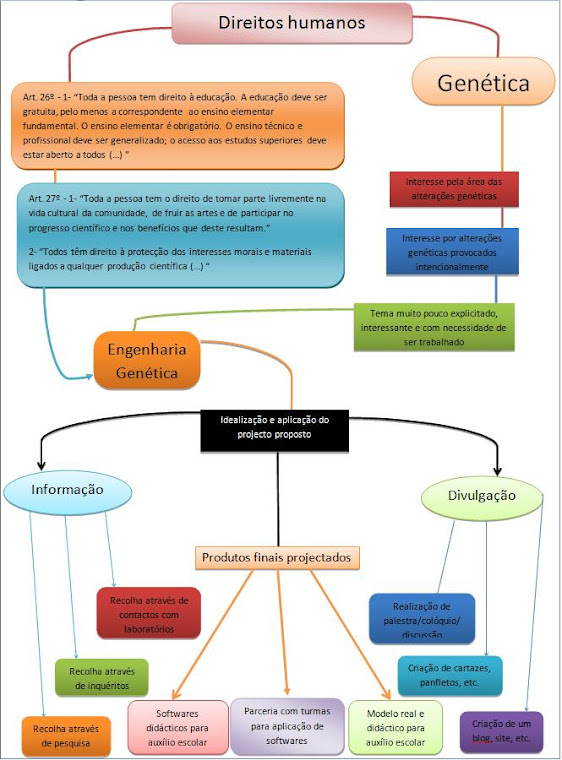 Organograma Conceptual