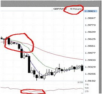 pengalaman ikut forex