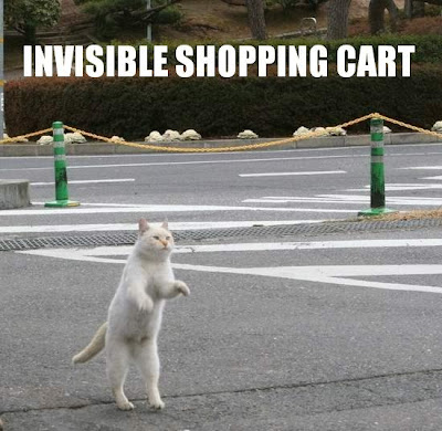 http://2.bp.blogspot.com/_Jj--y7nzkjo/SFkZojUcs_I/AAAAAAAAD40/m_mexfokw0Q/s400/invisible-shopping-cart.jpg
