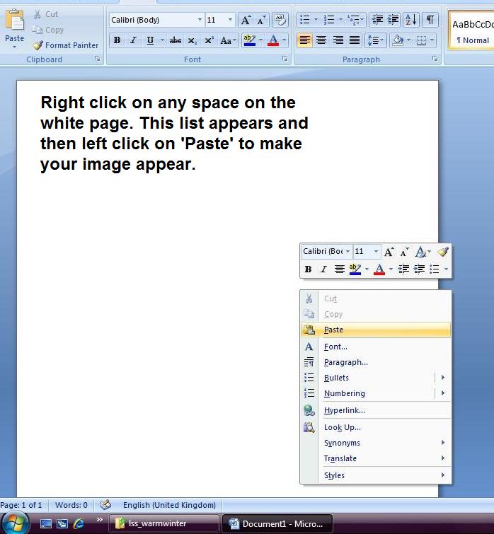 [Paste+in+Word+4.jpg]