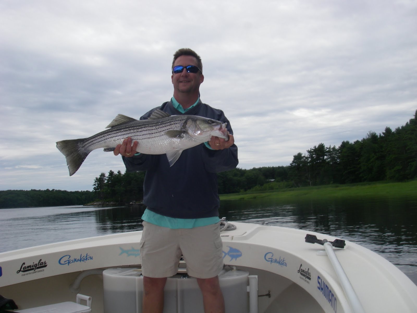 Maine Striper Fishing Charters & Reports Hotline 2076910745 April 2010