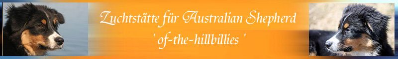 of-the-hillbillies