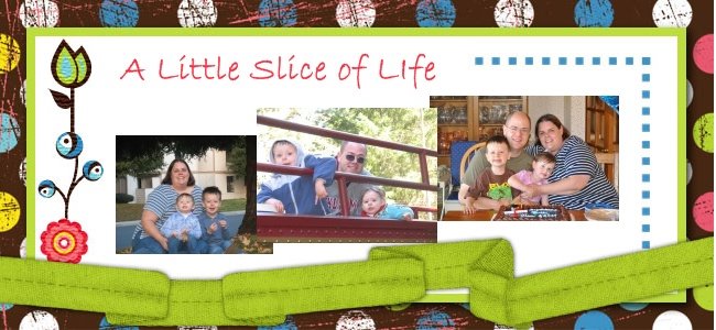 A Little Slice of Life