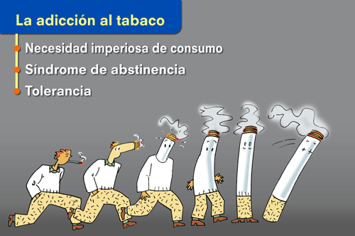 Tabeks el precio novokuznetske